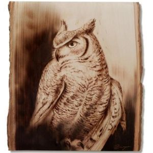 Pirography art burn